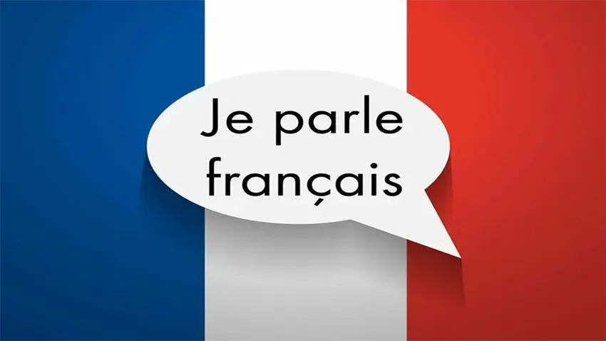 20 preguntas y respuestas del cuestionario de idioma francés